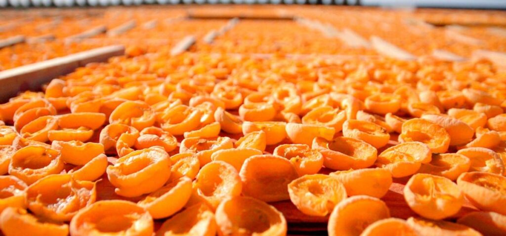 Serving up Nearly a Century of Authenticity