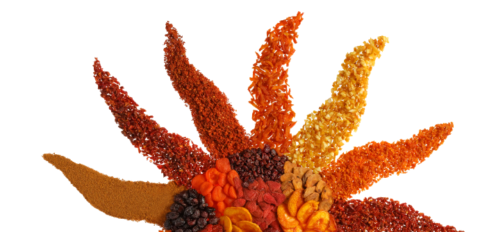 A sun made from a variety of sun dried fruits